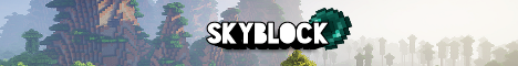 Banner for SkyBlockPE server