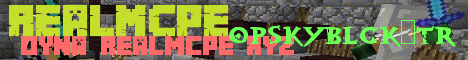 Banner for RealMCPE server