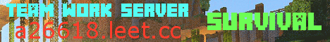 Banner for Team Work Server server