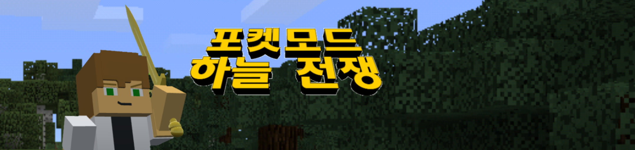 Banner for Sky Wars server