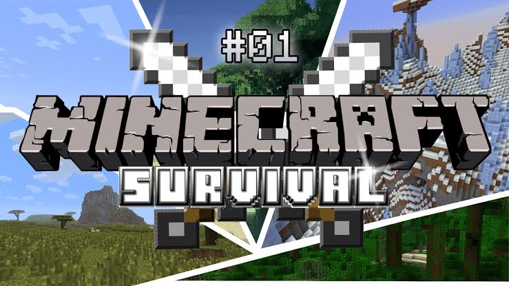 Banner for The survival Smp server