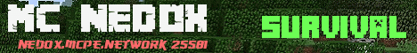 Banner for Minecraft *Nedox* server