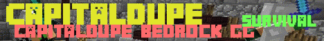 minecraft servers - Capitaldupe