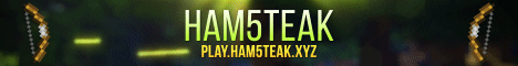 minecraft servers - Ham5teak