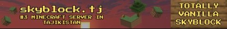 minecraft servers - skyblock.tj