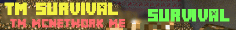 minecraft servers - Teammeltdown Survival