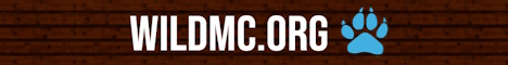 minecraft servers - WildMC