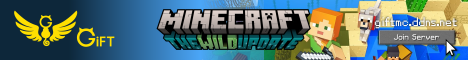 minecraft servers - Gift Minecraft