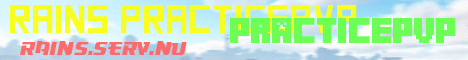 minecraft servers - Rains Practice
