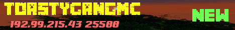 minecraft servers - ToastyGangMC