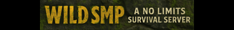 minecraft servers - WILD SMP