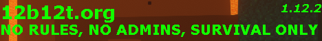 minecraft servers - 12b12t