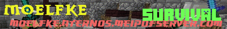 minecraft servers - MOelfke