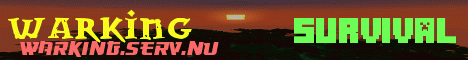 minecraft servers - warkings server