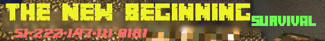 minecraft servers - The New Beginning