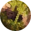 Cavesurvival